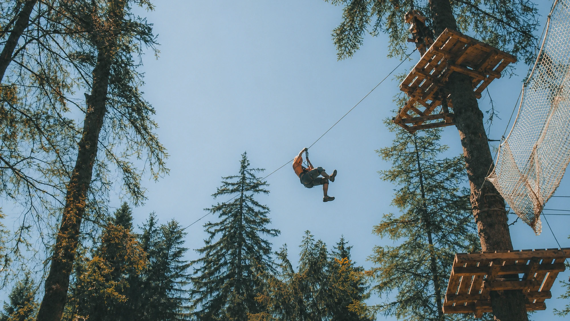 Un participant harnaché descend en tyrolienne entre deux plateformes d'un parcours accrobranche, au-dessus d'une forêt de conifères.