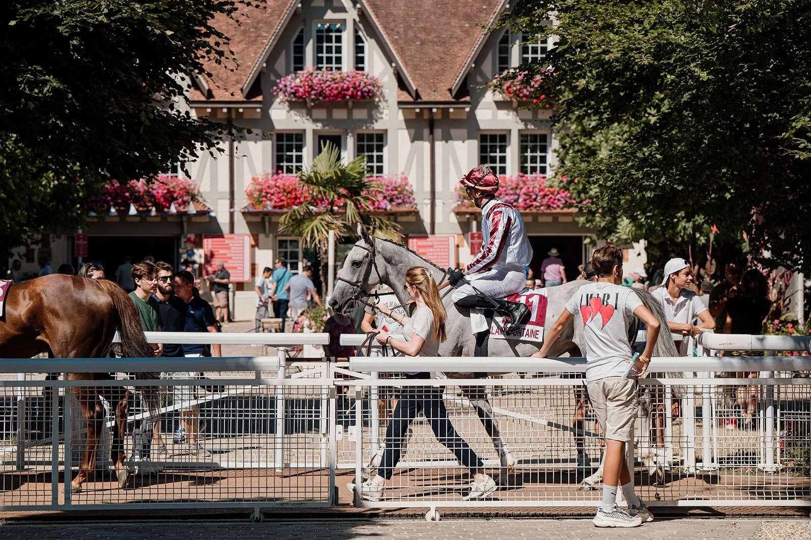 Le rond de présentation d'un hippodrome normand : un cheval gris mené par sa lad devant la tribune à colombages fleurie, le public accoudé aux barrières.